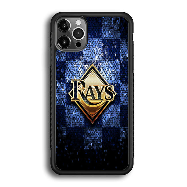 tampa bay rays glitter logo iPhone 11 pro case cover