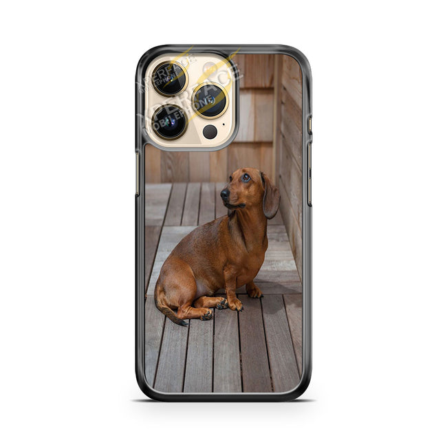 puppy iPhone 14 Pro Case Cover