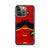 Robin DC Superhero iPhone 13 Pro max case